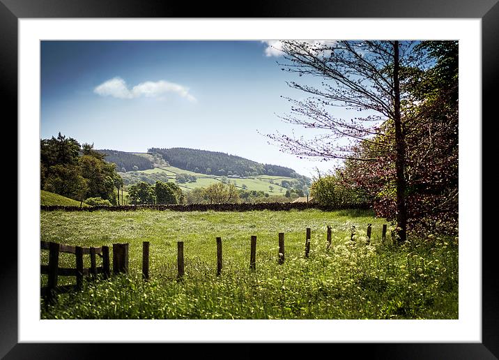  Summer Days Framed Mounted Print by richard downes