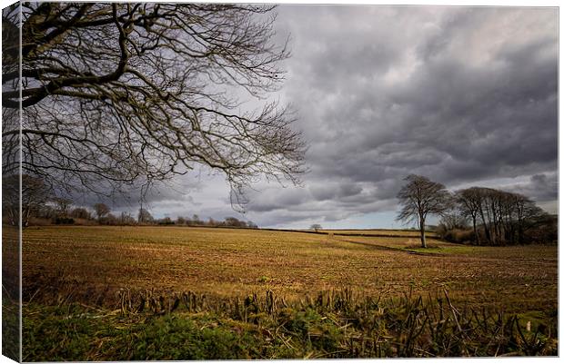  Winter Field Canvas Print by John Baker