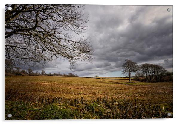  Winter Field Acrylic by John Baker