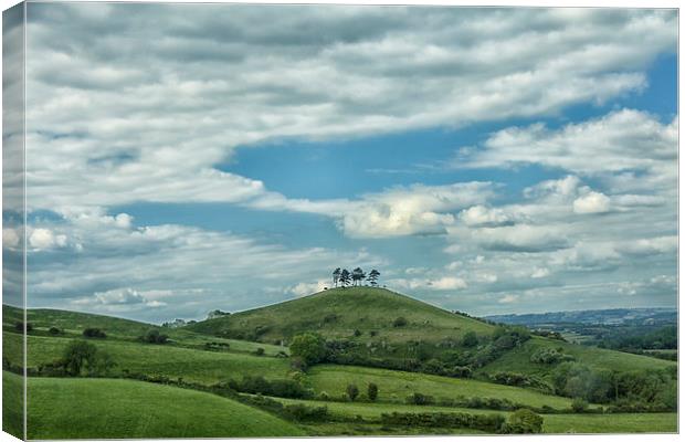  Colmers Hill. Canvas Print by Mark Godden