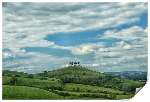  Colmers Hill. Print by Mark Godden