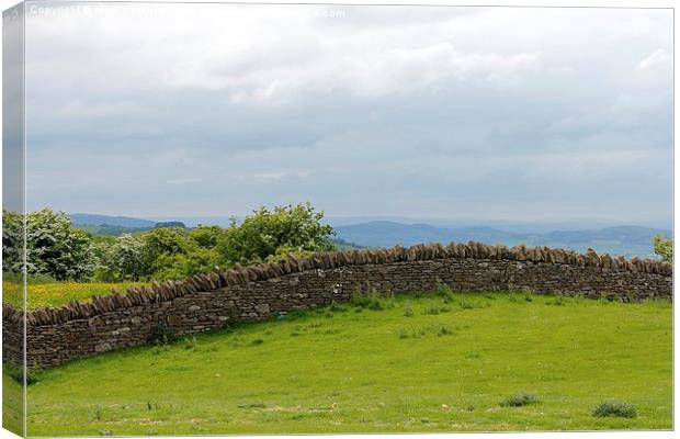 Dry Stone Wall In Cotswold Hills Canvas Print by Mark Purches