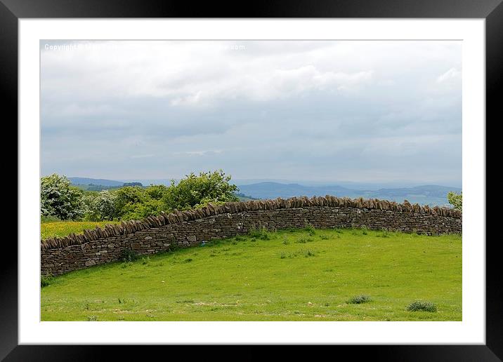 Dry Stone Wall In Cotswold Hills Framed Mounted Print by Mark Purches
