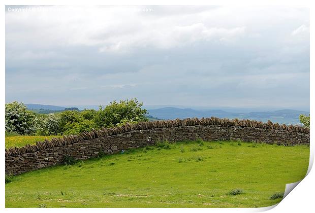 Dry Stone Wall In Cotswold Hills Print by Mark Purches