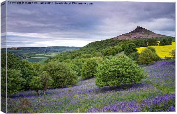 Bluebells at Roseberry Topping Canvas Print by Martin Williams