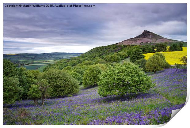 Bluebells at Roseberry Topping Print by Martin Williams