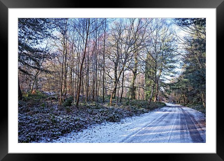 Enchanting Winter Wonderland Framed Mounted Print by P D