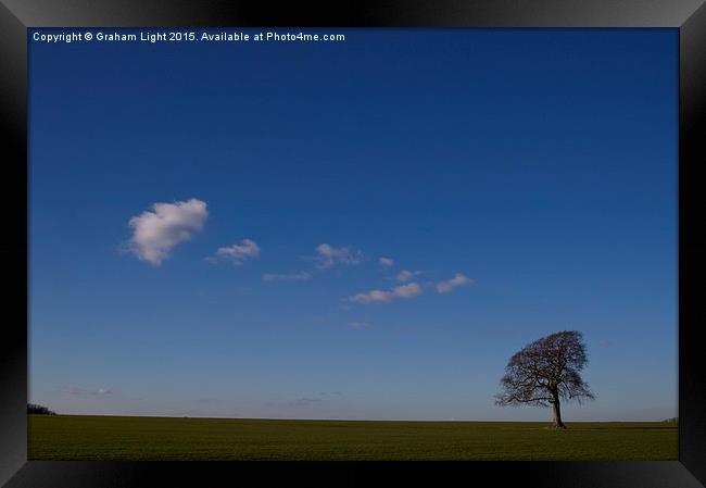  A lonely tree on an early winters morning. Framed Print by Graham Light