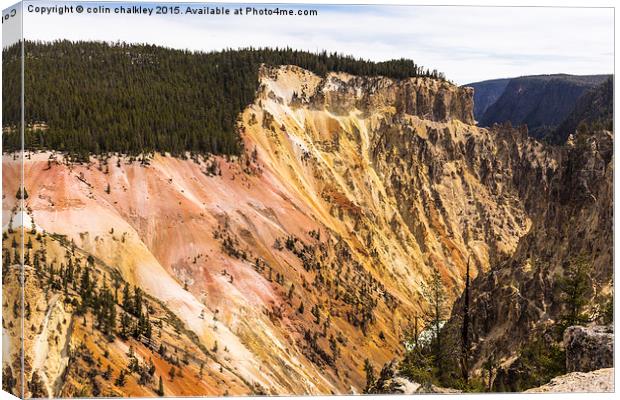 Yellowstone National Park - Landscape and Colour Canvas Print by colin chalkley