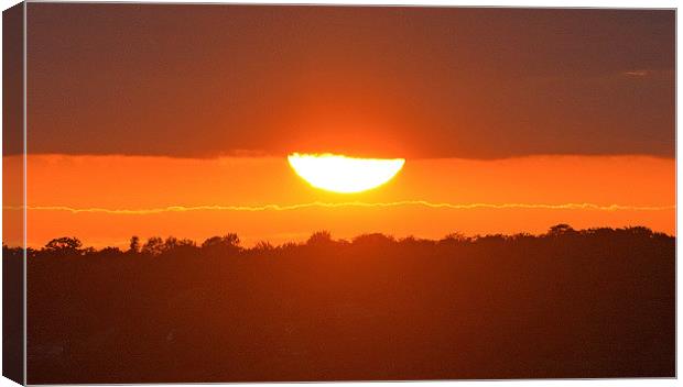  sunset horizon Canvas Print by michelle rook