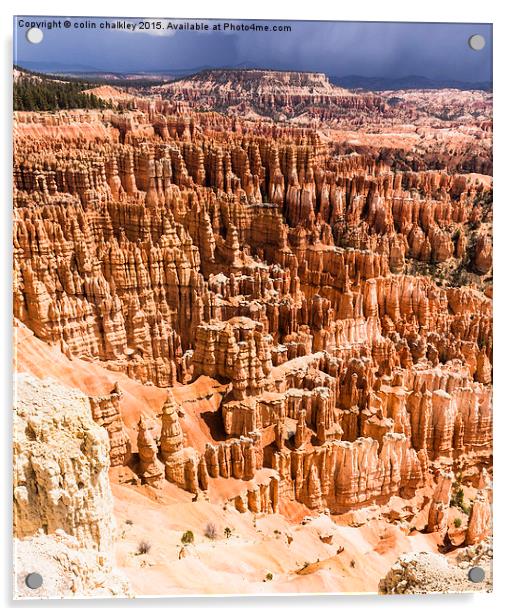   Bryce Canyon National Park Hoodoos Acrylic by colin chalkley