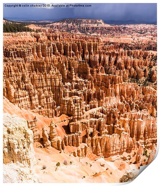   Bryce Canyon National Park Hoodoos Print by colin chalkley