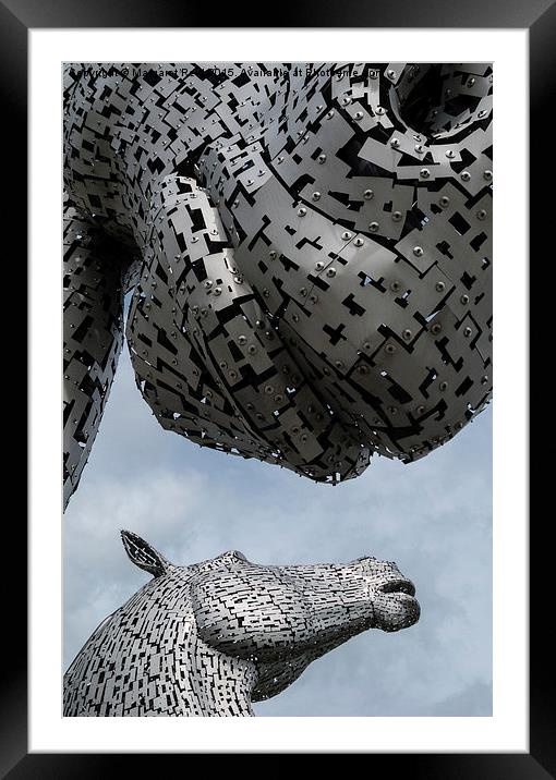  The Kelpies Framed Mounted Print by Margaret Reid