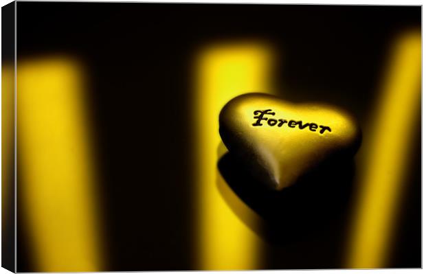 Love Forever Canvas Print by John Boyle