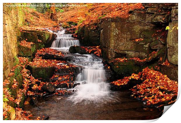  Lumsdale waterfalls near Matlock,Derbyshire Print by sharon turner