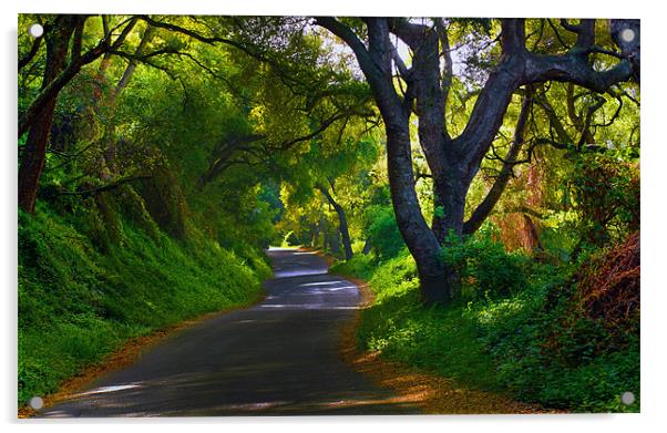Torro Canyon Road, Santa Barbara Acrylic by Eyal Nahmias