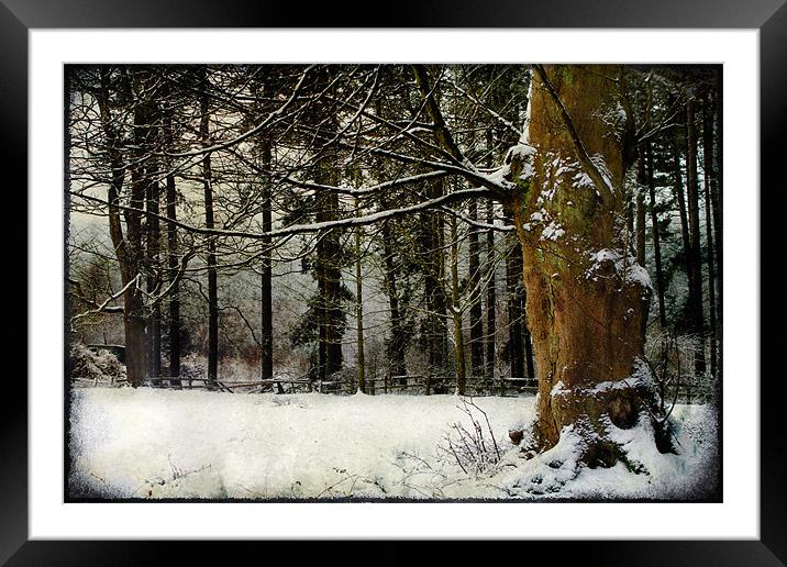 Snow Textures Framed Mounted Print by Ann Garrett