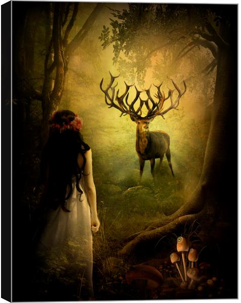  Mystical Forest Canvas Print by Kim Slater