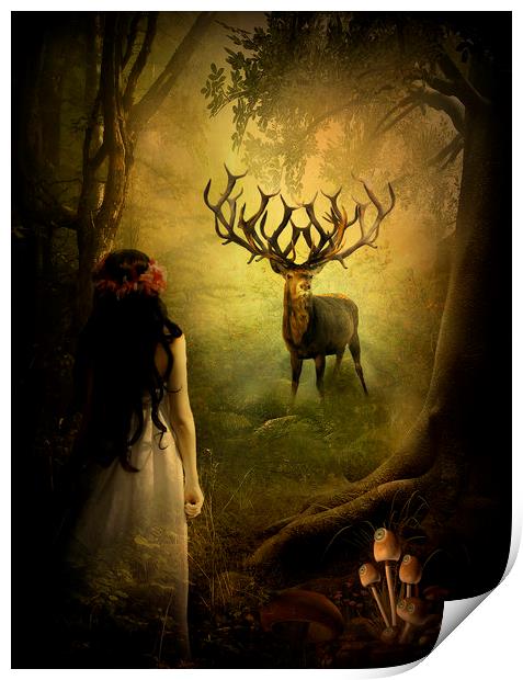  Mystical Forest Print by Kim Slater