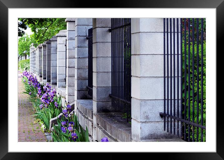  Rot Iron Fence Framed Mounted Print by Kathleen Stephens