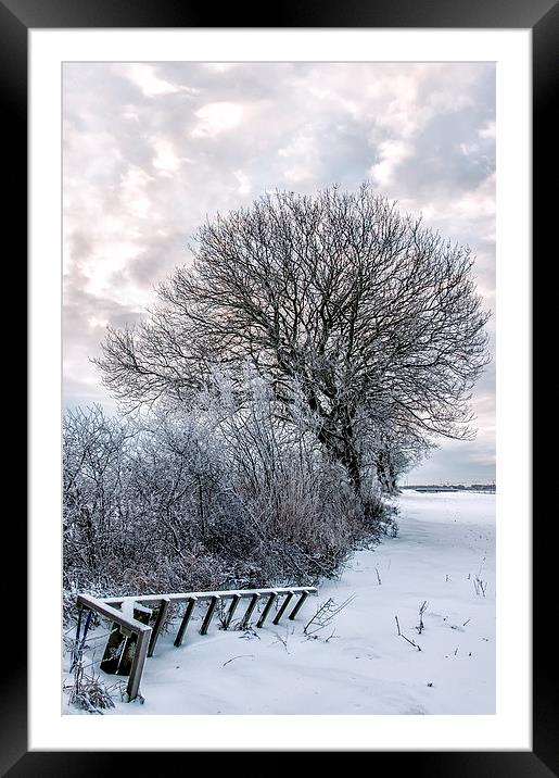Bleak Winter Framed Mounted Print by Antony McAulay