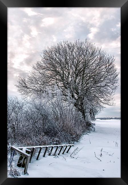 Bleak Winter Framed Print by Antony McAulay
