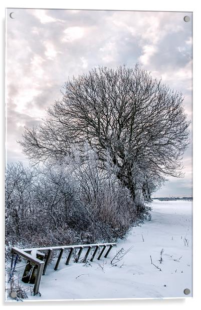 Bleak Winter Acrylic by Antony McAulay