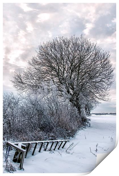 Bleak Winter Print by Antony McAulay