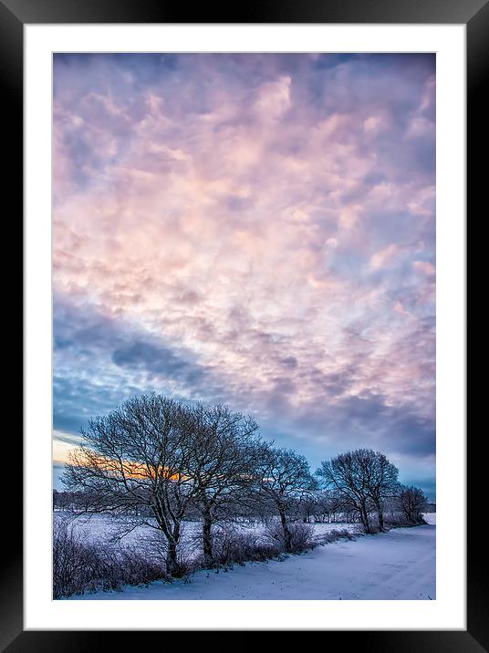 Winter Dawn Framed Mounted Print by Antony McAulay