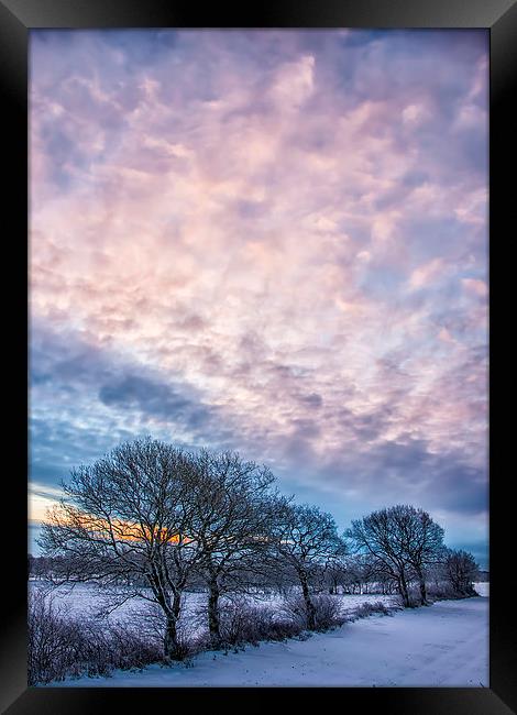 Winter Dawn Framed Print by Antony McAulay