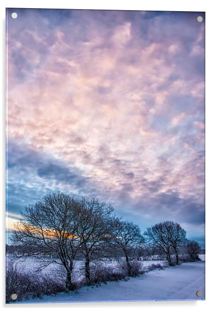 Winter Dawn Acrylic by Antony McAulay