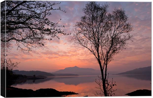 Loch Sunart at dawn, near Salen Canvas Print by David Ross