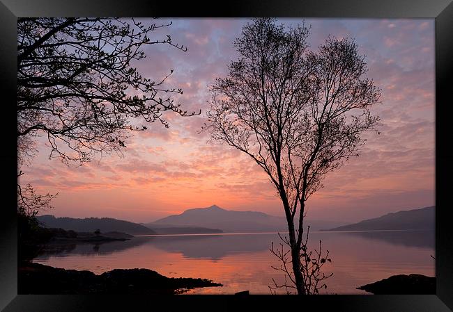 Loch Sunart at dawn, near Salen Framed Print by David Ross