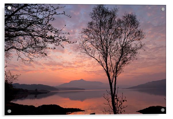 Loch Sunart at dawn, near Salen Acrylic by David Ross