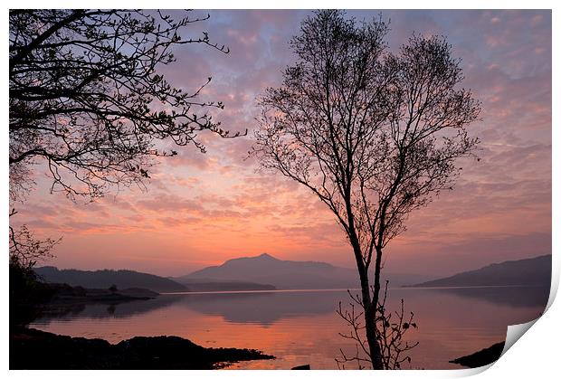 Loch Sunart at dawn, near Salen Print by David Ross