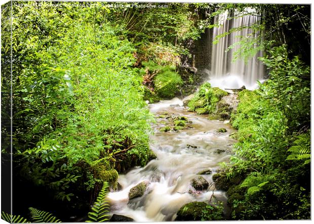  The Hidden Waterfall at the Botanic Garden, Wales Canvas Print by Stewart Nicolaou