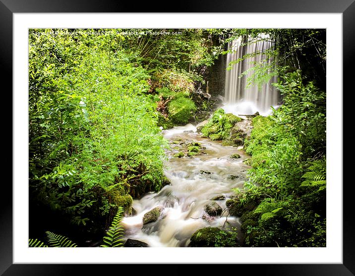  The Hidden Waterfall at the Botanic Garden, Wales Framed Mounted Print by Stewart Nicolaou