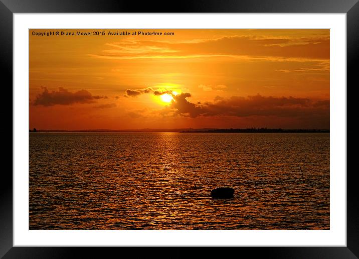Tollesbury Marshes Autumn sunset  Framed Mounted Print by Diana Mower
