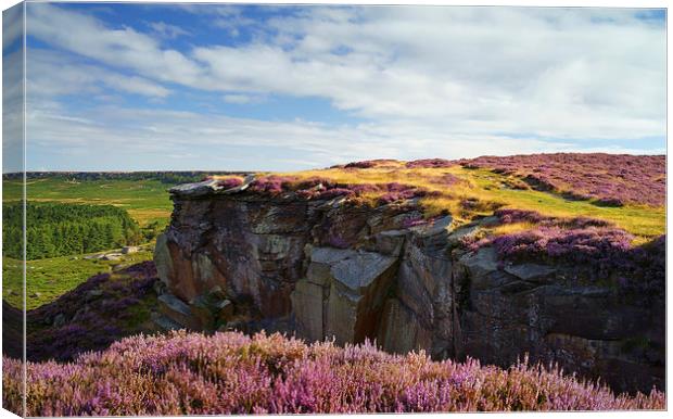 View along Burbage Rocks and Valley  Canvas Print by Darren Galpin