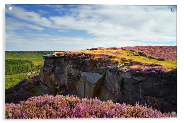 View along Burbage Rocks and Valley  Acrylic by Darren Galpin