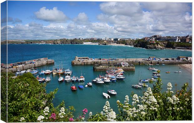  Newquay Harbour Canvas Print by Jason Green