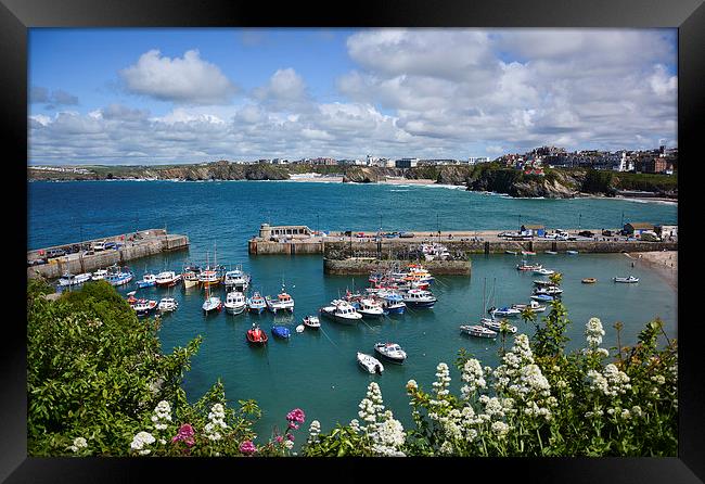  Newquay Harbour Framed Print by Jason Green