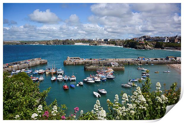  Newquay Harbour Print by Jason Green