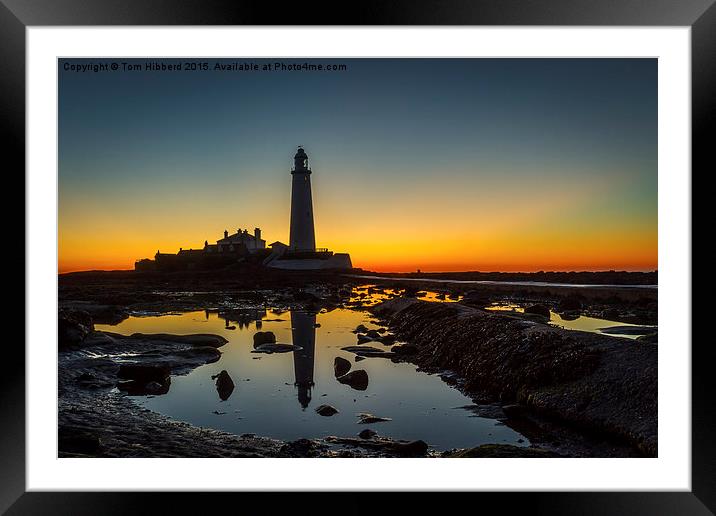  Never sleeping St Mary's Lighthouse Framed Mounted Print by Tom Hibberd
