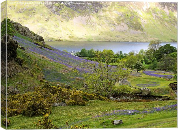 Spring at Rannerdale Canvas Print by Susan Tinsley