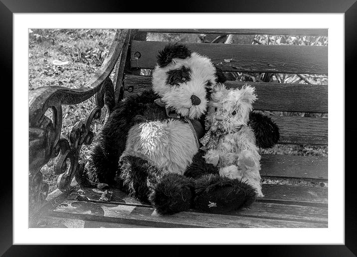  Best Buddies Framed Mounted Print by Sue Knight