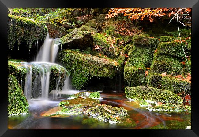  Waterfall Green Moss Framed Print by Shaun Cope