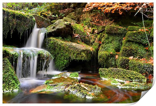  Waterfall Green Moss Print by Shaun Cope