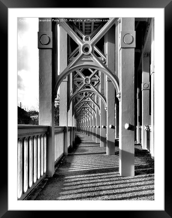  High Level Bridge Framed Mounted Print by Alexander Perry