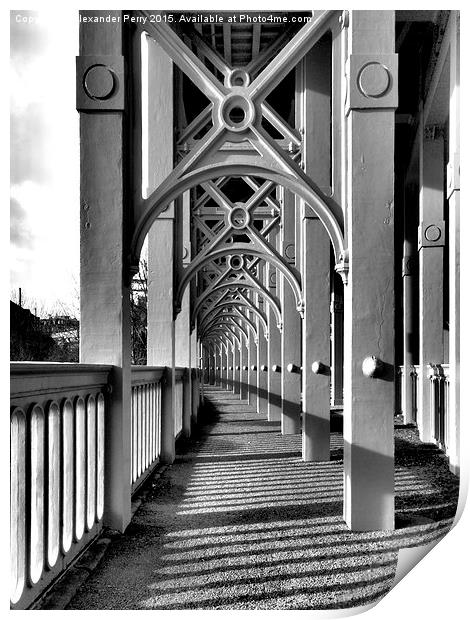  High Level Bridge Print by Alexander Perry